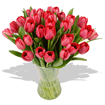 Unbranded 30 Red Tulips in a Vase - flowers