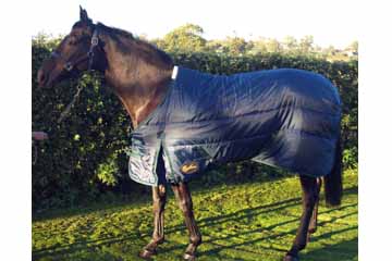 300g Winter Stable Horse Rug - Endorsed by Scu
