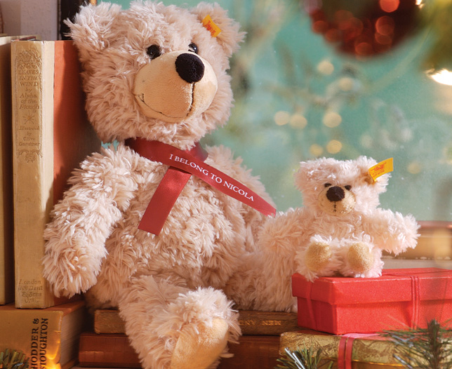 Unbranded 30cm Steiff Bear and Small Teddy- Personalised