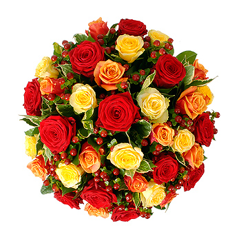 Unbranded 35 Magnificent Orange, Red and Yellow Roses -