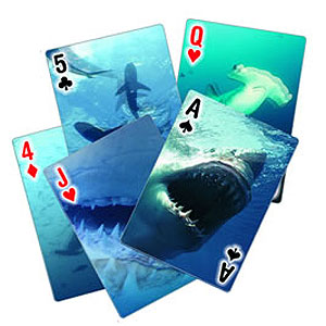 These moving motion effect shark playing cards are ideal for all those sharp poker players out there