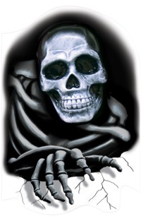 Unbranded 3D Skull Wall Grabber