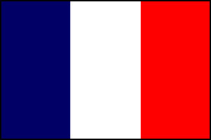 3ft X 2ft French flag