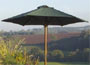 3m Green Parasol with 48mm Pole