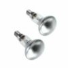 40W small screw in R50 spot bulb clear pk 2