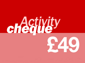 49 activity cheque