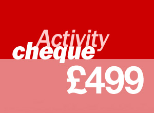 499 activity cheque