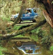 Take control with this hands on, adventure packed 4WD safari through native New Zealand forest.