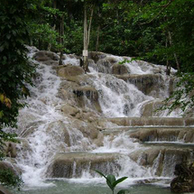 Unbranded 4X4 Dunns River Safari - Adult