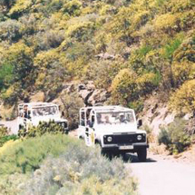 Unbranded 4x4 Jeep Safari from Rethymnon - Adult