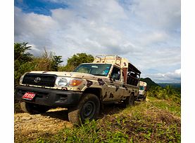 Go off the beaten path and experience the very heart of paradise on this safari exploring Jamaicas rugged interior and lush valleys. Walk on the wild side through lush, tropical foliage, discover waterfalls, jump into spring water pools and get to k