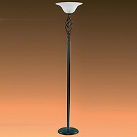 Unbranded 5021 - Matt Black Floor Lamp