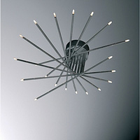 Unbranded 50492 20 - Black Chrome Ceiling Light