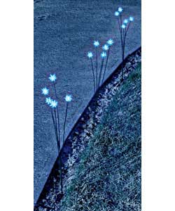 30 lights.Low voltage powered.10m lead wire.15m chain.Blue LED bulbs.Static lights.Outdoor use