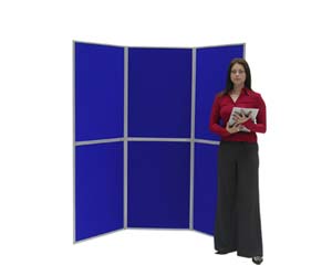 6 panel display board A