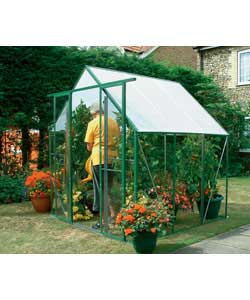 Unbranded 6 x 4 Greenhouse and Staging
