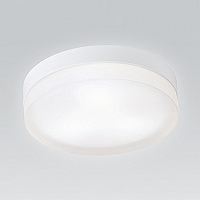 Unbranded 657 28 - White Flush Light