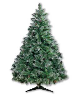 1.8m frosted Manchester balsam tree with pine cones.900 tips.Hooked construction.Metal stand