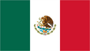 8ftx10flags Mexico bunting