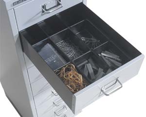 Unbranded 9 section tray insert