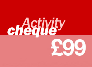 99 activity cheque