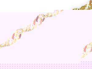 Unbranded 9ct-Gold-Singapore-Bracelet-077570