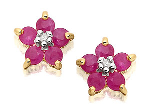 Unbranded 9ct Yellow Gold Ruby and Diamond Stud Earrings