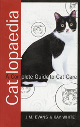 A Complete Guide to Cat Care