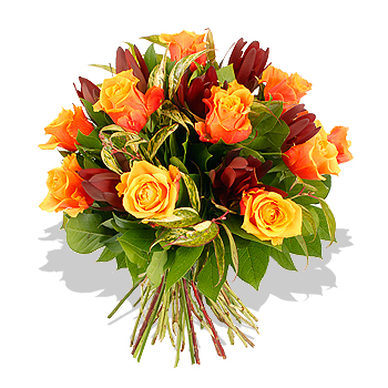 Unbranded A Dozen Orange Roses - flowers