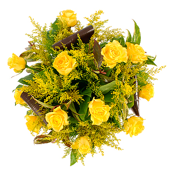 Unbranded A Dozen Yellow Roses - flowers