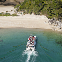 Unbranded Abel Tasman Seals and Beach - Adult (Staying in