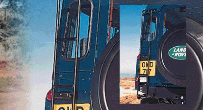 Access ladder with integrated lamp guard