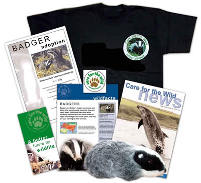Adopt a Badger