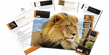 Unbranded Adopt A Big Cat