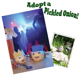 Unbranded Adopt a Pickled Onion - Harry the Soldier