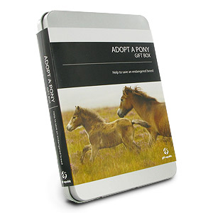 Unbranded Adopt a Pony Gift Box