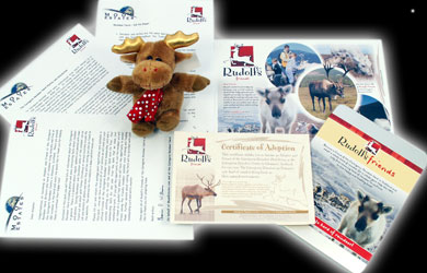 Unbranded Adopt a Reindeer Gift Box