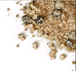 ADVENTURE FOOD EXPEDITION BREAKFAST