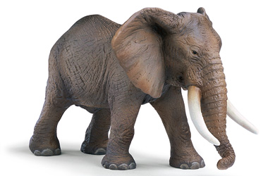 Unbranded African Elephant - Male