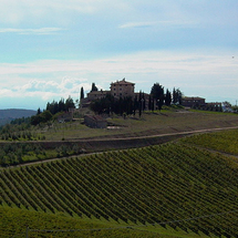 Unbranded Afternoon Excursion to Chianti with Wine Tasting