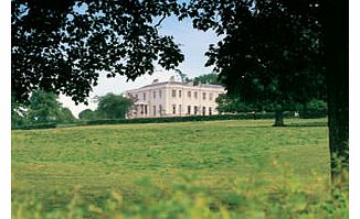 Unbranded Afternoon Tea for Two at The Mount Somerset