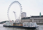 Unbranded Afternoon Tea Sightseeing Cruise and London Eye Flight for Two