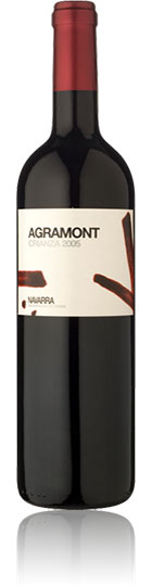 Unbranded Agramont Crianza 2007, Navarra