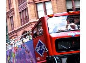 Upgrade your All Loops Hop-on Hop-Off Bus Tour ticket to include the VIP All Access Pass. It lets you skip the line entirely at the busiest stops and get on board first to grab the seats, get the view and see the city your way.