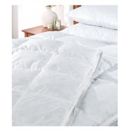 Unbranded ALL SEASONS G/F/C Q66 and PILLOW