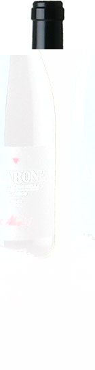 Allegrini are one of the 'famous five' Amarone producers. They produce lush complex wines wh