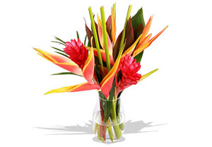 Unbranded Amazonia Bouquet