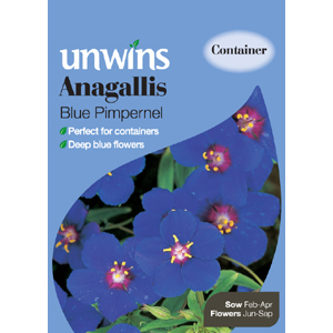 Unbranded Anagalis Blue Pimpernel Seeds