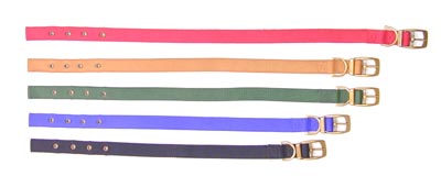 Ancol Double Nylon Collar 24"