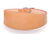 Ancol Whippet Collar 14"